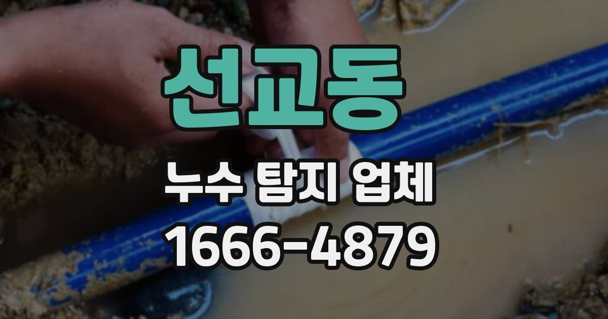 선교동 누수 탐지 업체