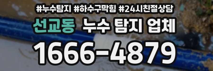 선교동 누수 탐지 업체