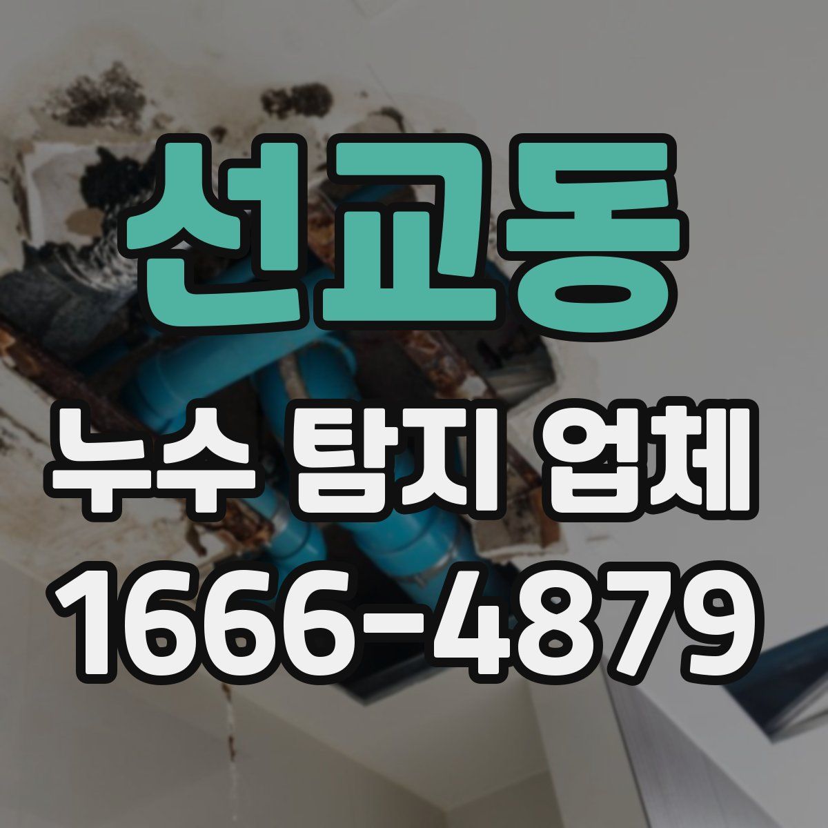 선교동 누수 탐지 업체