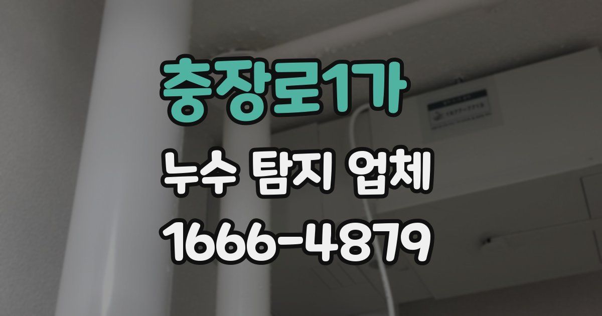 충장로1가 누수 탐지 업체