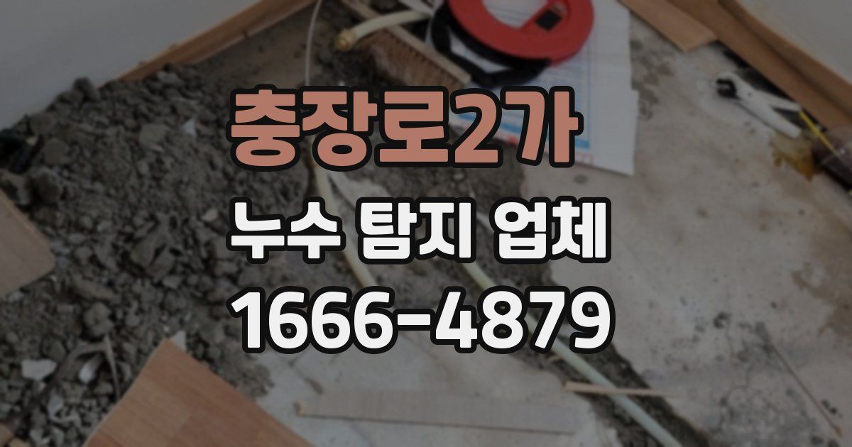충장로2가 누수 탐지 업체