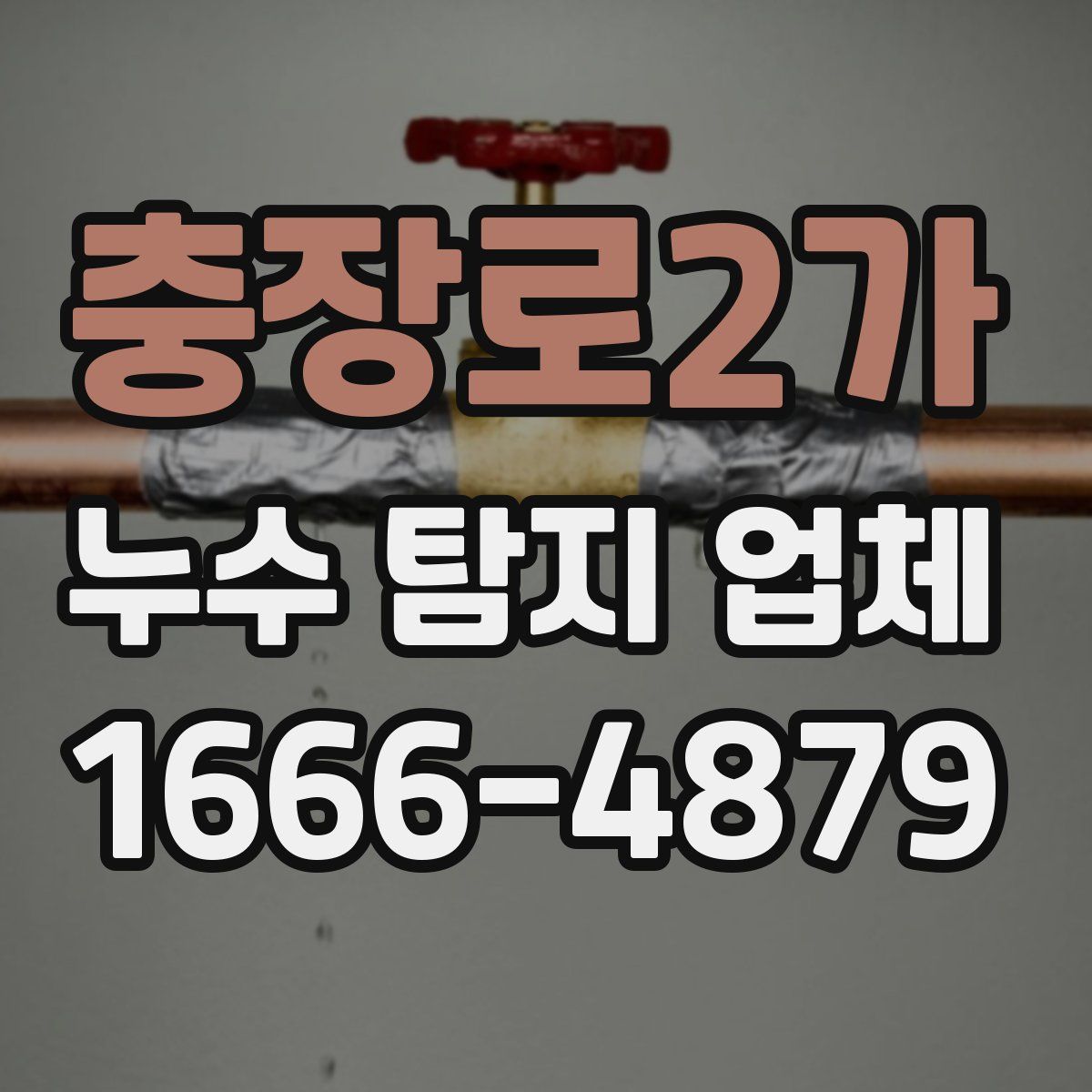 충장로2가 누수 탐지 업체
