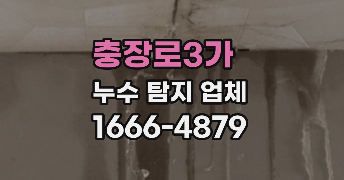 충장로3가 누수 탐지 업체