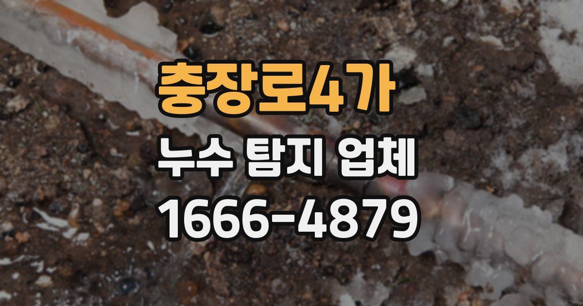 충장로4가 누수 탐지 업체