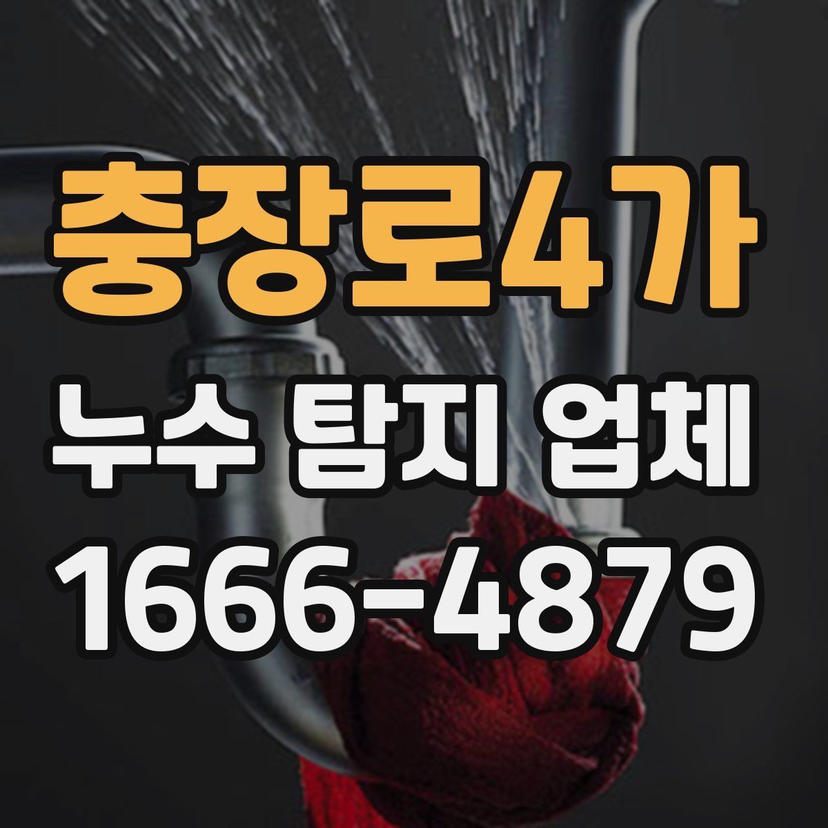 충장로4가 누수 탐지 업체
