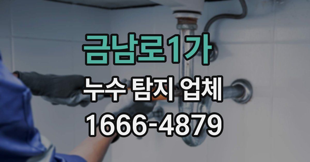 금남로1가 누수 탐지 업체