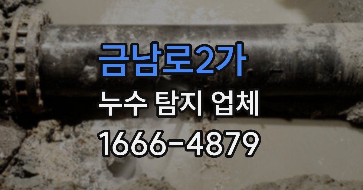 금남로2가 누수 탐지 업체