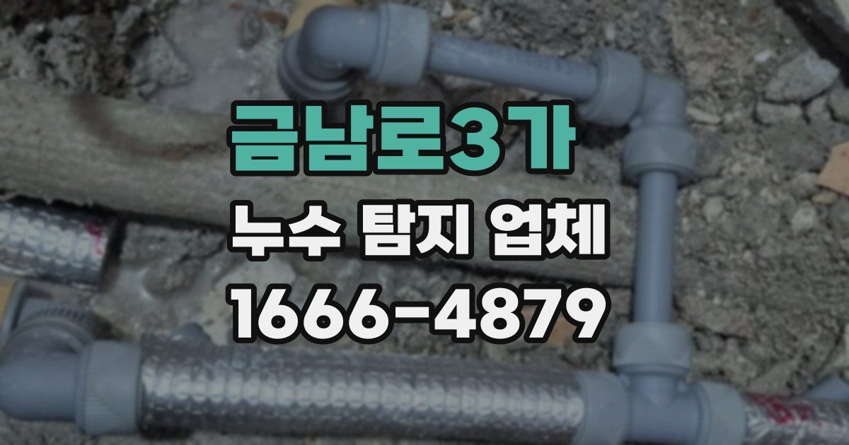 금남로3가 누수 탐지 업체