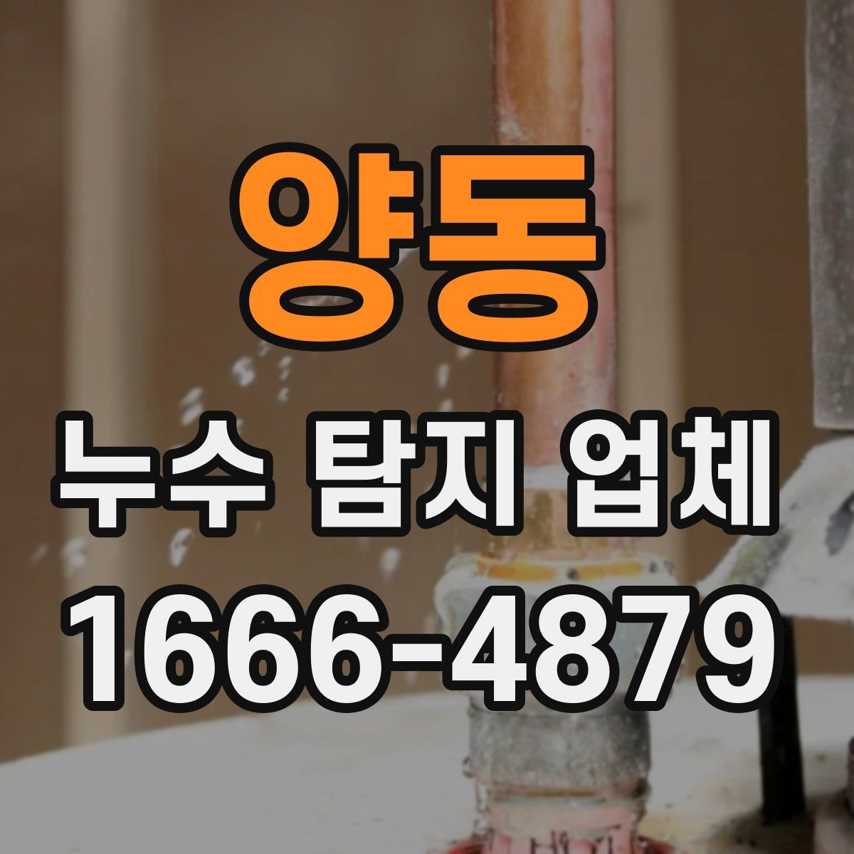 양동 누수 탐지 업체