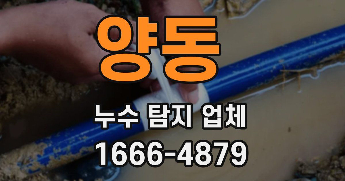 양동 누수 탐지 업체