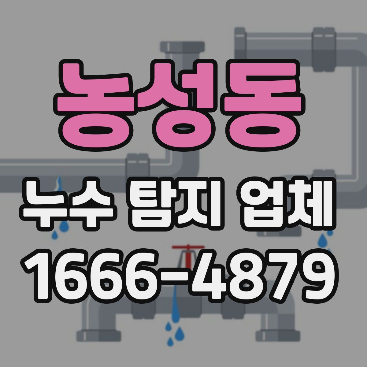 농성동 누수 탐지 업체