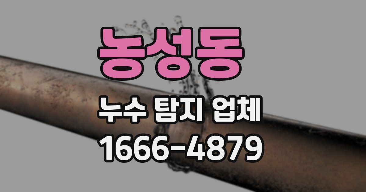 농성동 누수 탐지 업체