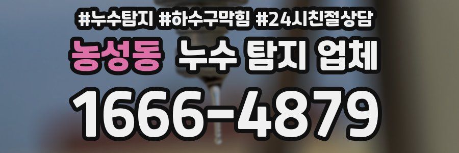 농성동 누수 탐지 업체