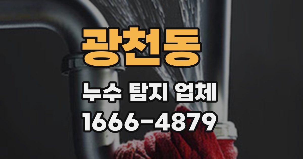광천동 누수 탐지 업체