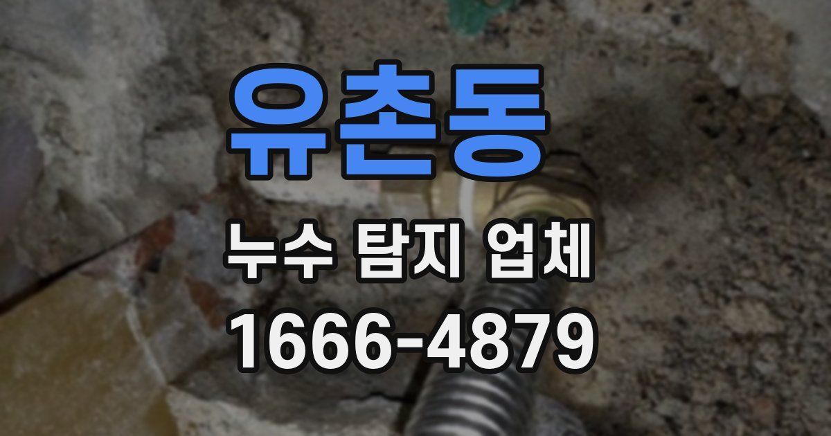 유촌동 누수 탐지 업체