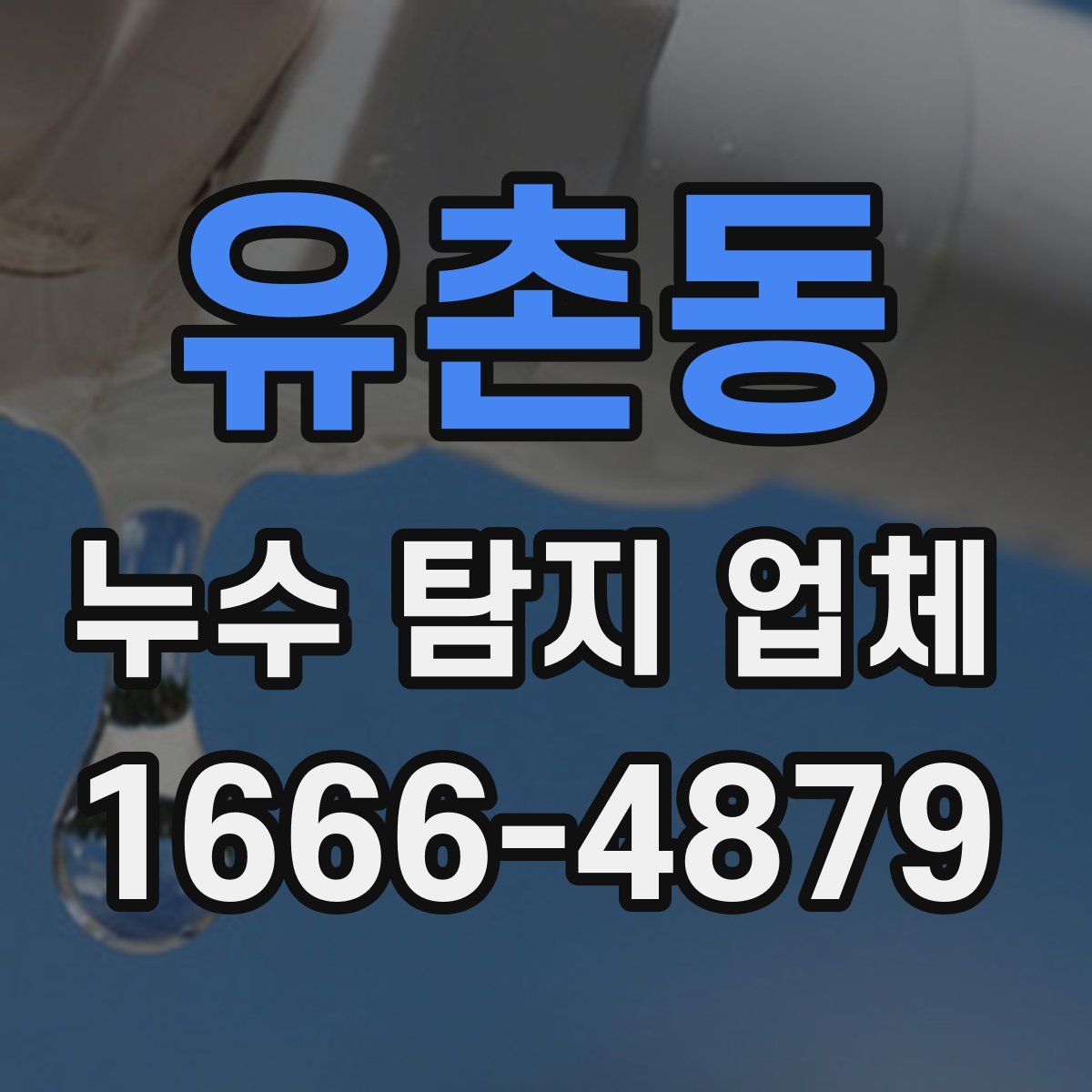 유촌동 누수 탐지 업체