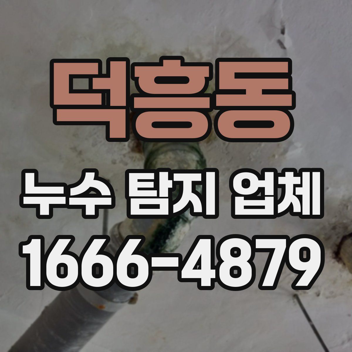 덕흥동 누수 탐지 업체