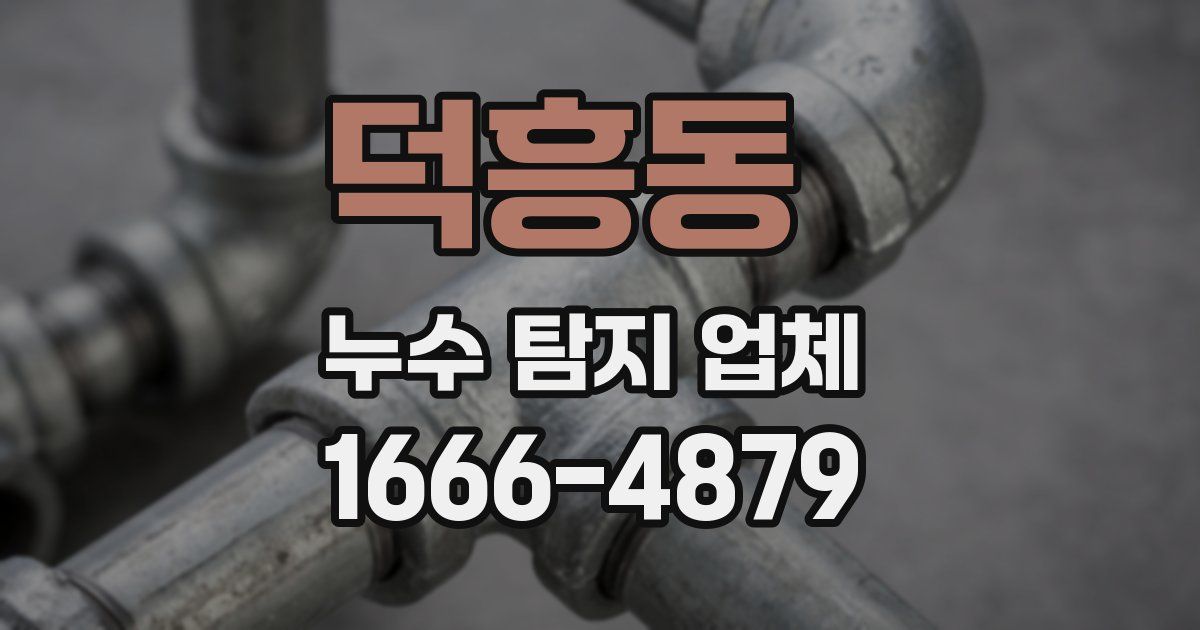 덕흥동 누수 탐지 업체
