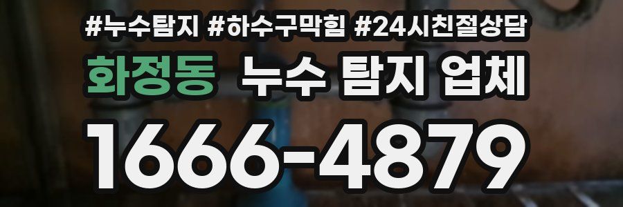 화정동 누수 탐지 업체