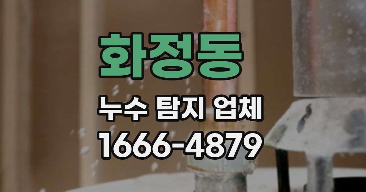 화정동 누수 탐지 업체
