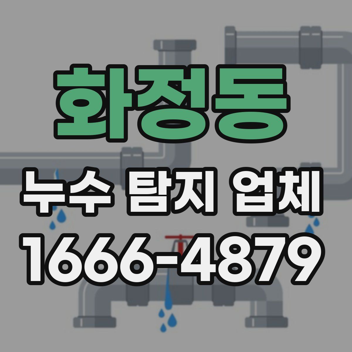 화정동 누수 탐지 업체
