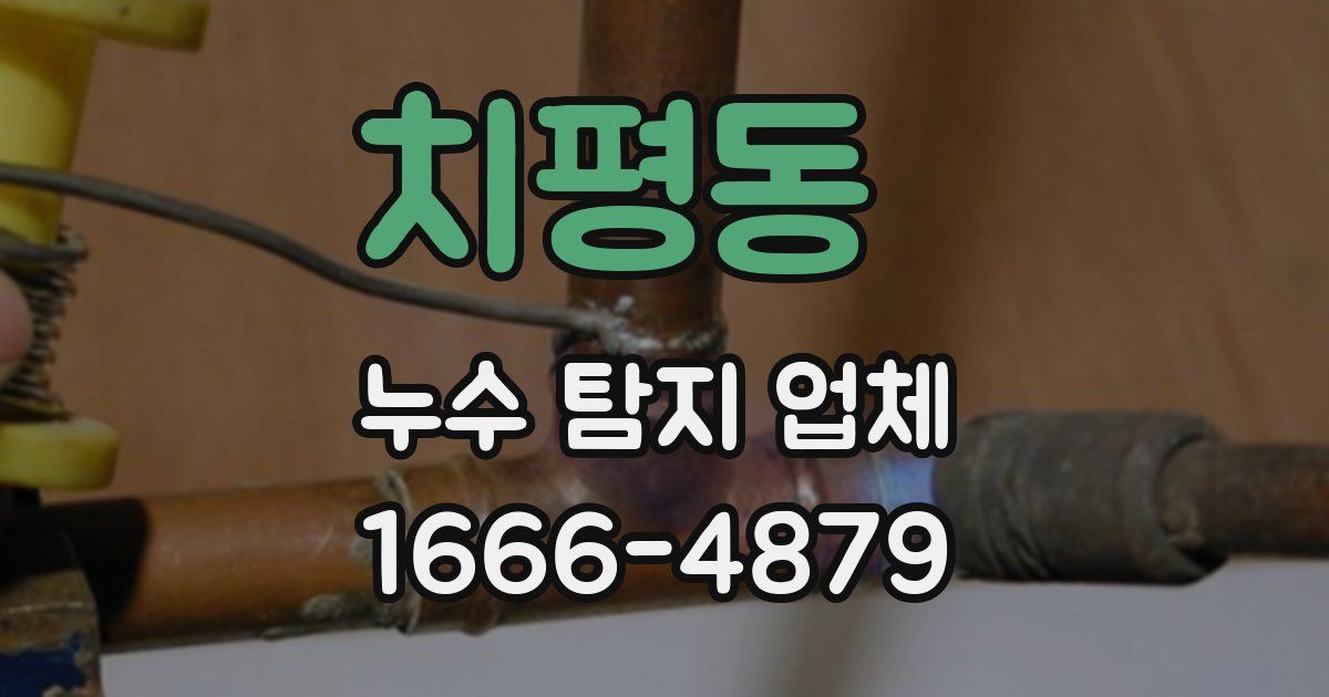 치평동 누수 탐지 업체