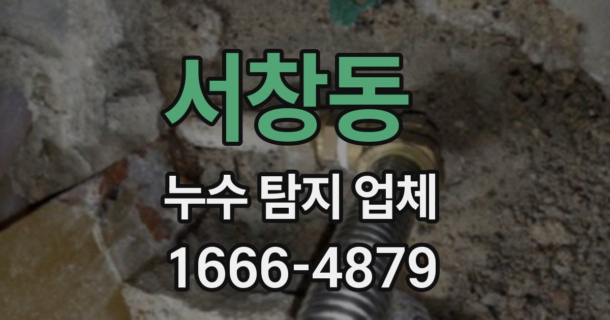 서창동 누수 탐지 업체