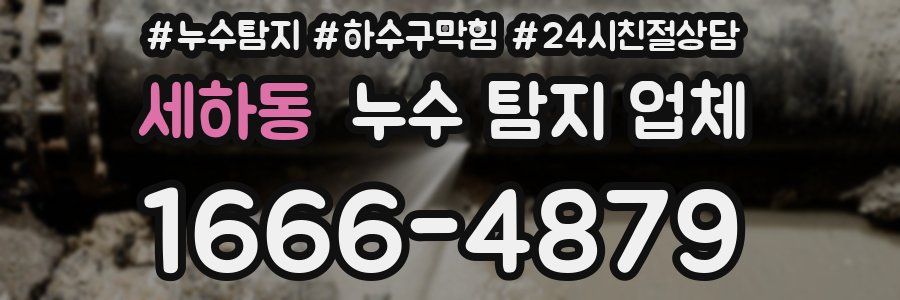 세하동 누수 탐지 업체