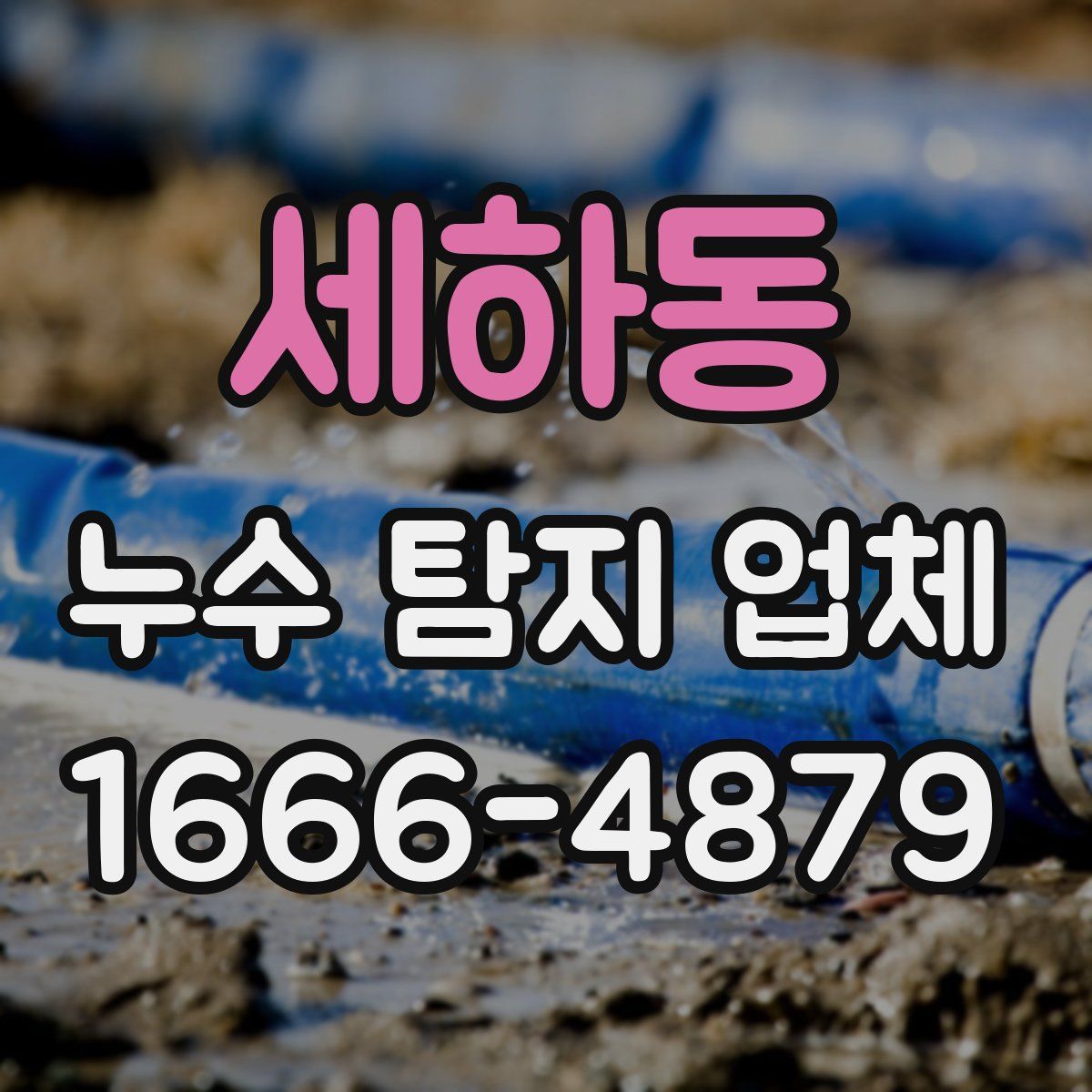 세하동 누수 탐지 업체
