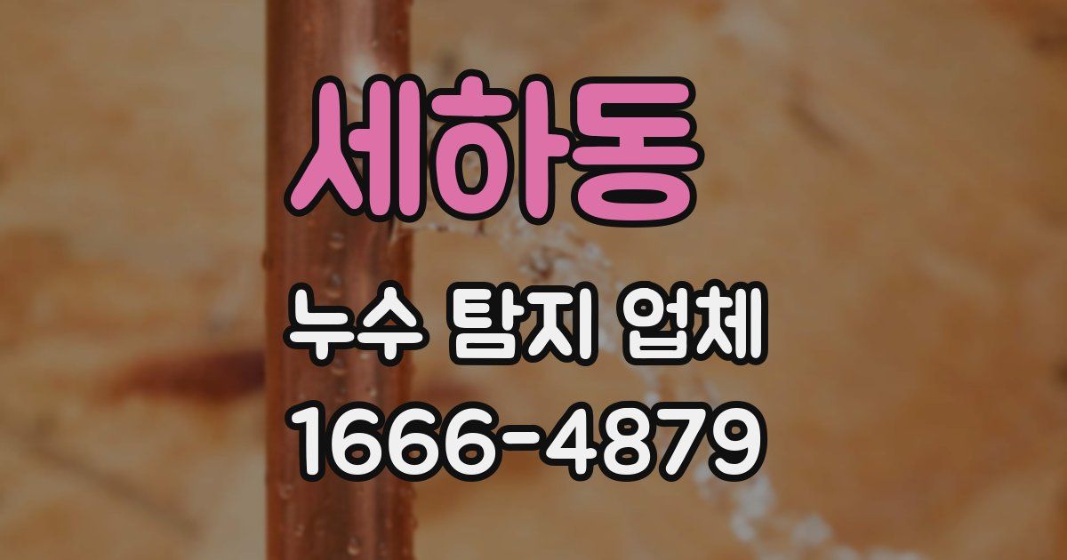세하동 누수 탐지 업체