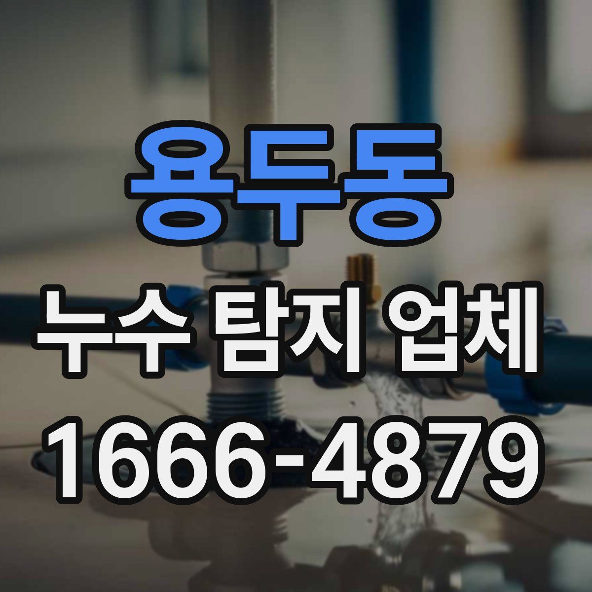 용두동 누수 탐지 업체