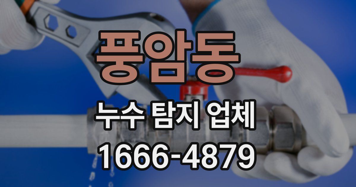 풍암동 누수 탐지 업체