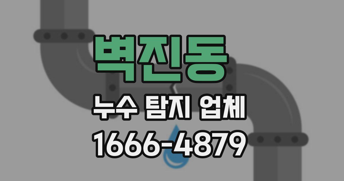 벽진동 누수 탐지 업체