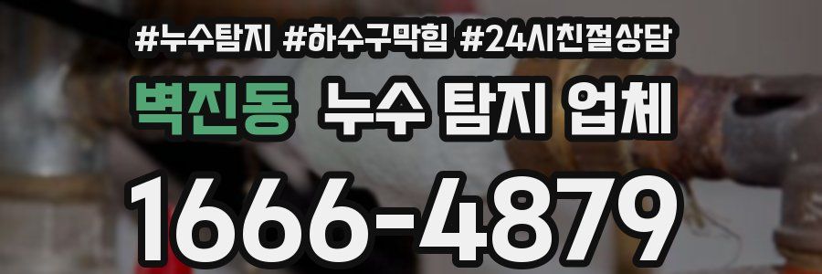 벽진동 누수 탐지 업체