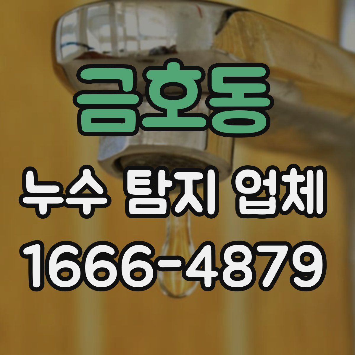 금호동 누수 탐지 업체
