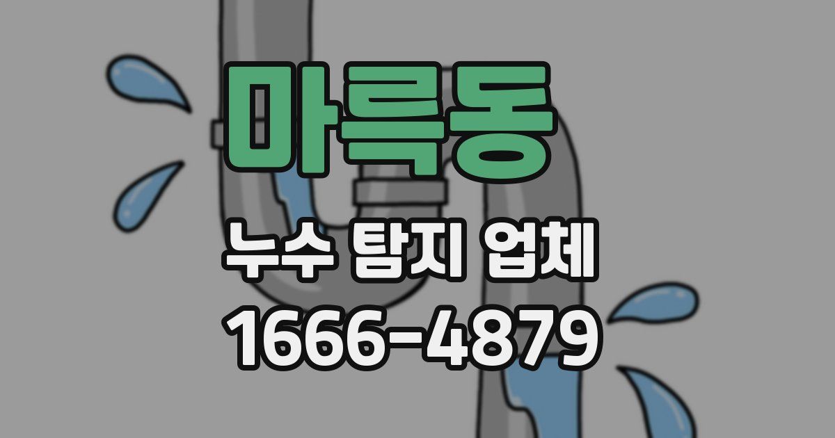 마륵동 누수 탐지 업체