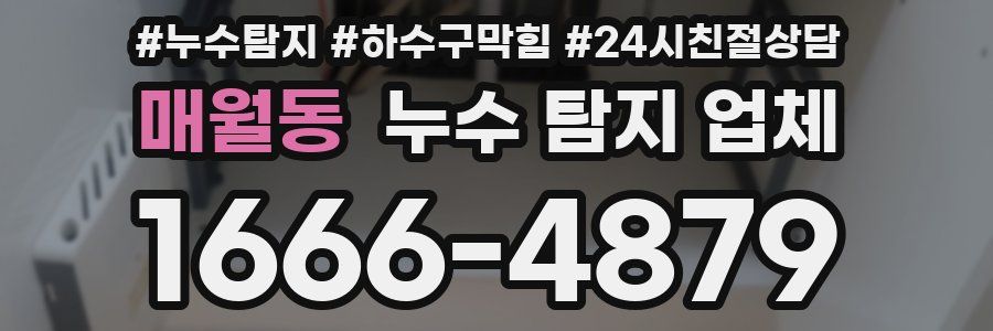 매월동 누수 탐지 업체