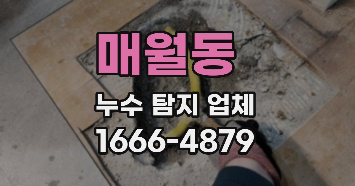매월동 누수 탐지 업체