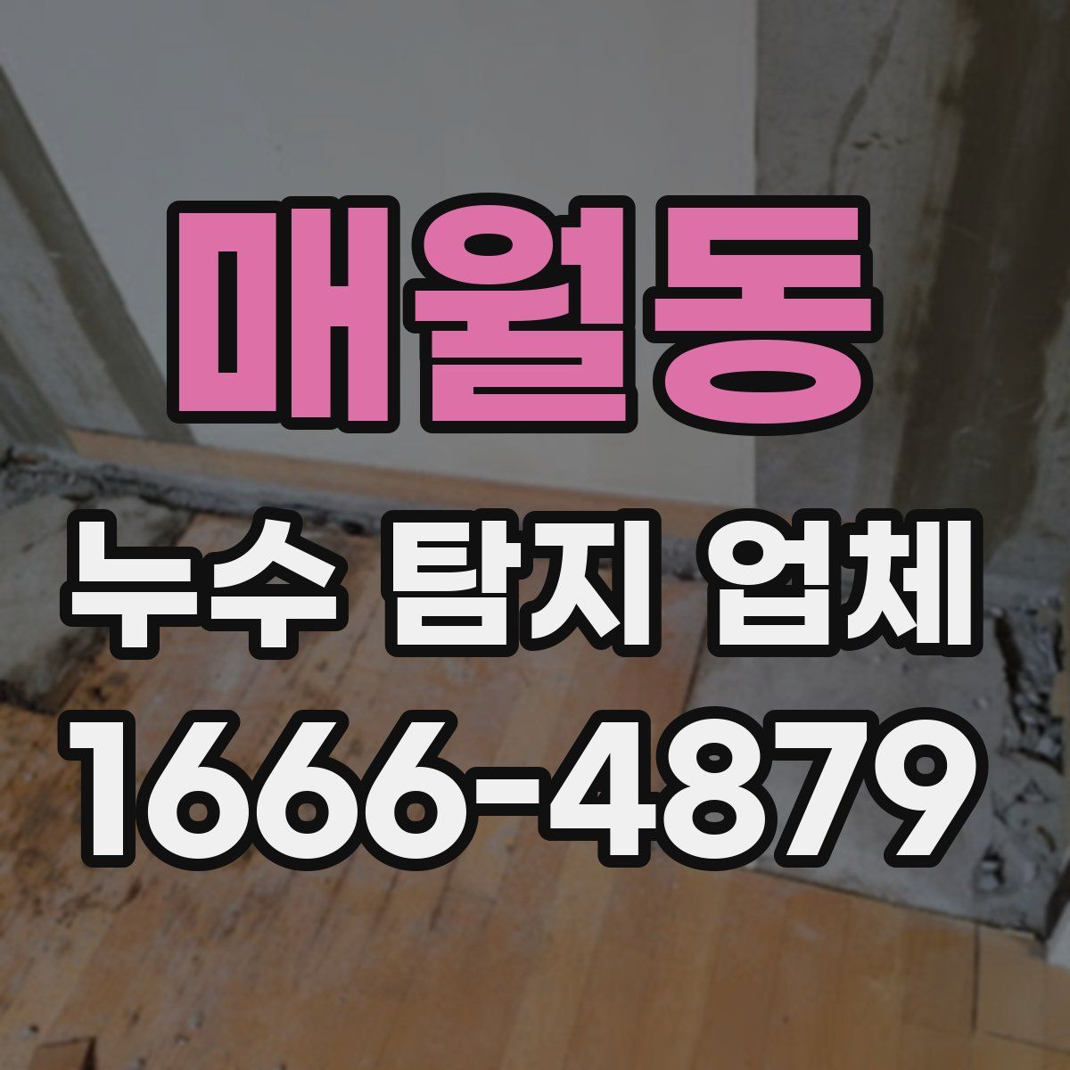 매월동 누수 탐지 업체