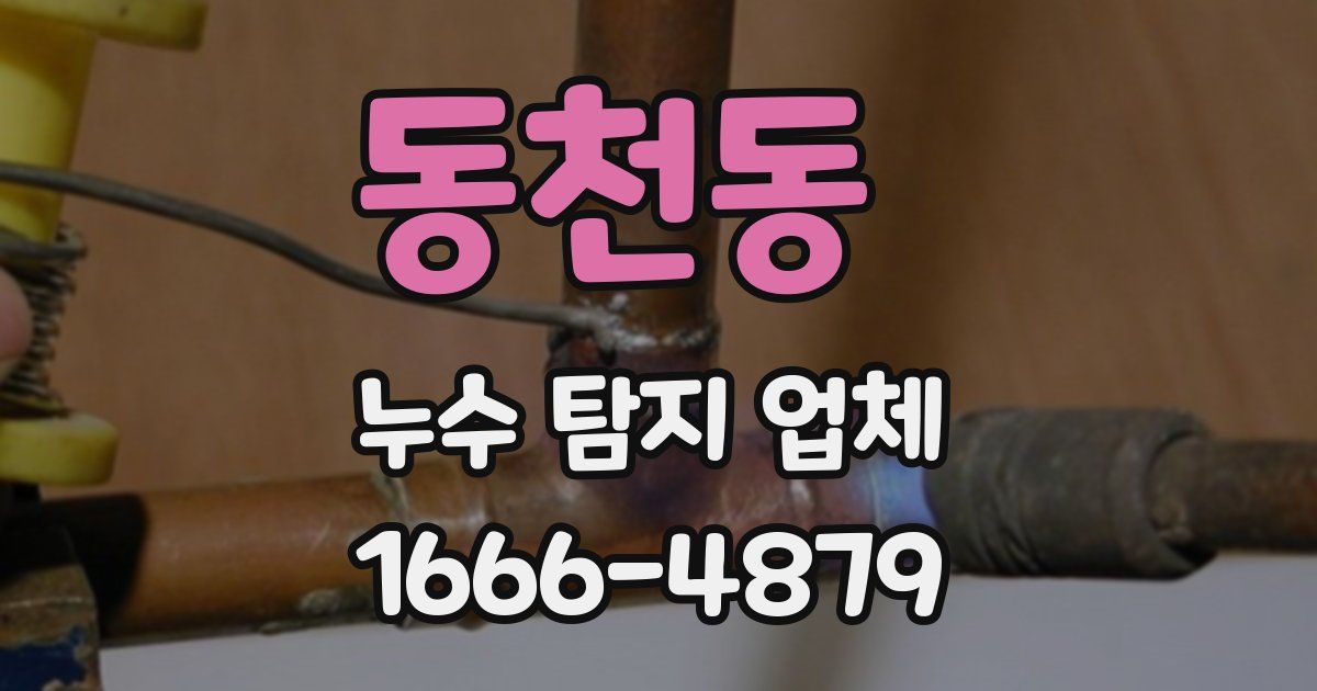 동천동 누수 탐지 업체