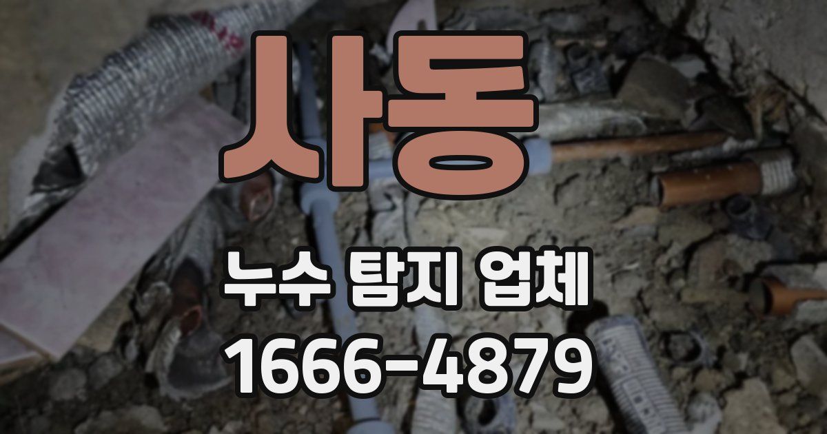 사동 누수 탐지 업체