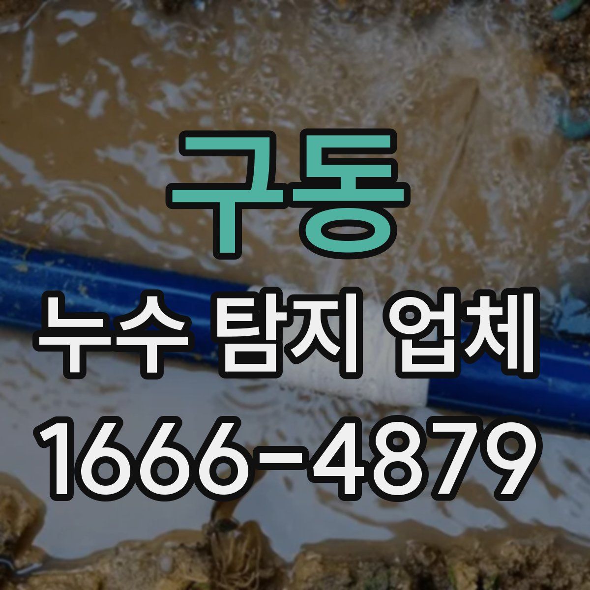 구동 누수 탐지 업체