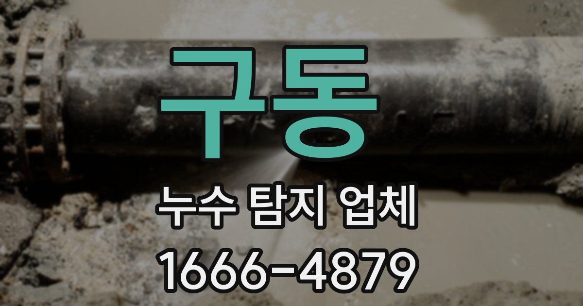 구동 누수 탐지 업체