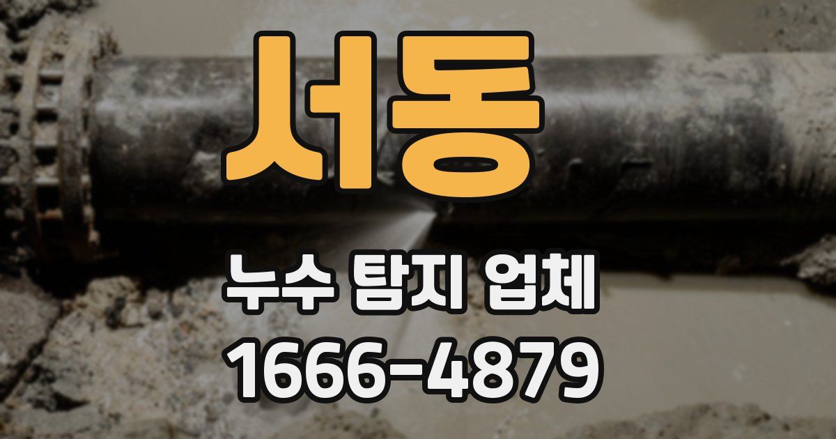 서동 누수 탐지 업체