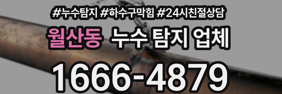 월산동 누수 탐지 업체