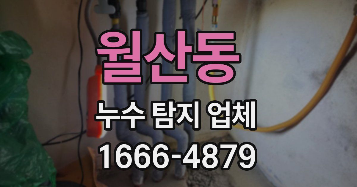 월산동 누수 탐지 업체