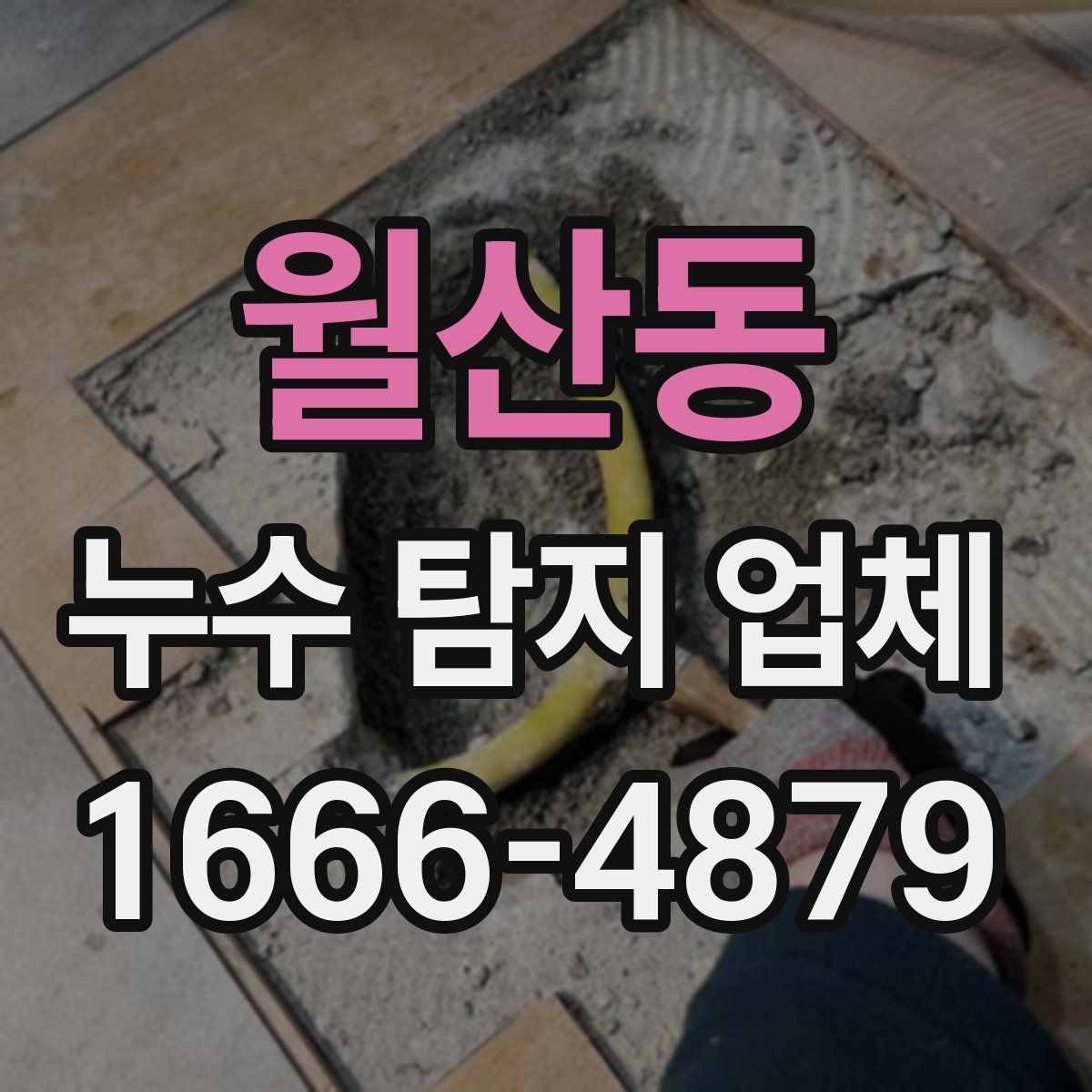월산동 누수 탐지 업체