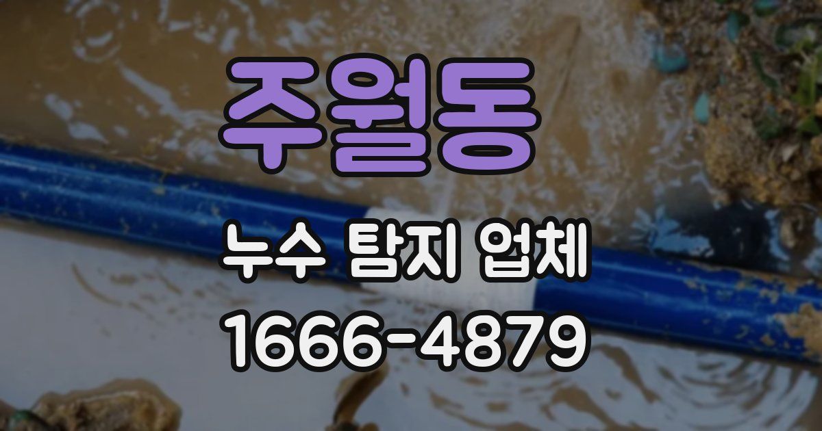 주월동 누수 탐지 업체