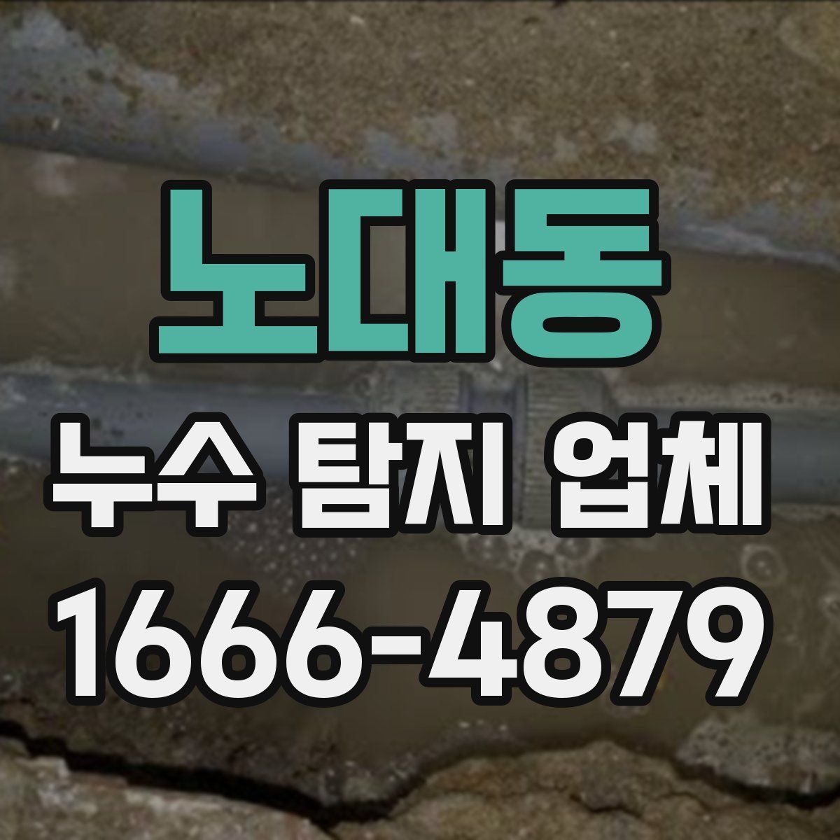노대동 누수 탐지 업체
