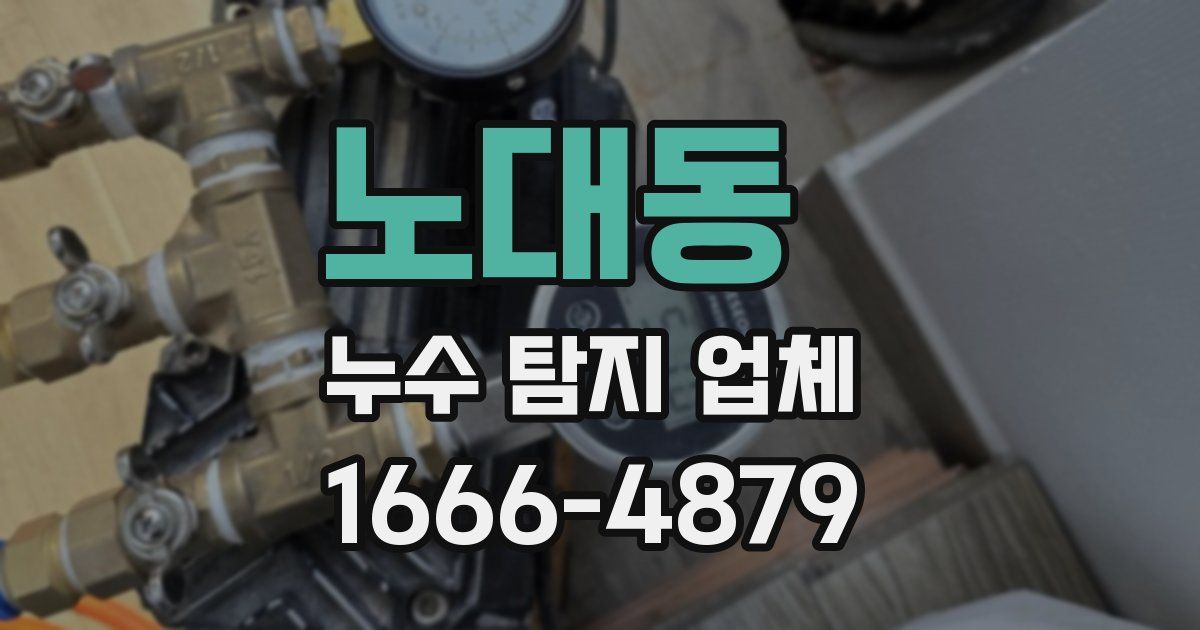 노대동 누수 탐지 업체